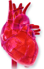Meditating Heart