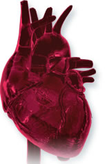 Stressed Heart